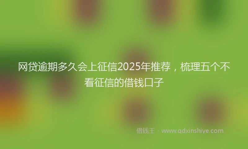 网贷逾期多久会上征信2025年推荐，梳理五个不看征信的借钱口子