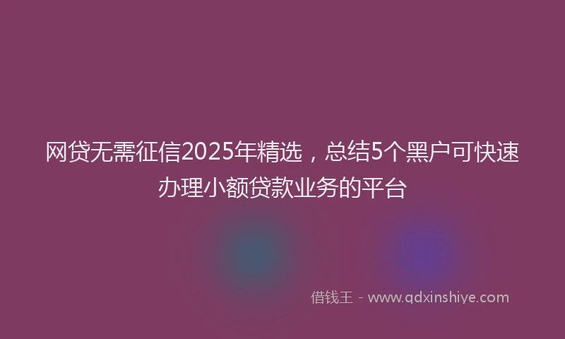 网贷无需征信2025年精选，总结5个黑户可快速办理小额贷款业务的平台