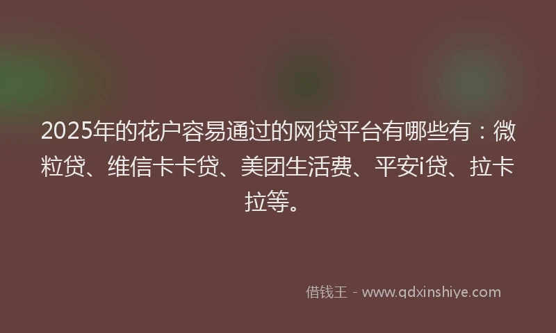 2025年的花户容易通过的网贷平台有哪些有：微粒贷、维信卡卡贷、美团生活费、平安i贷、拉卡拉等。