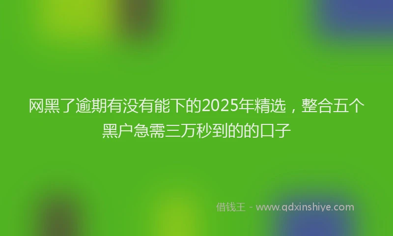网黑了逾期有没有能下的2025年精选，整合五个黑户急需三万秒到的的口子