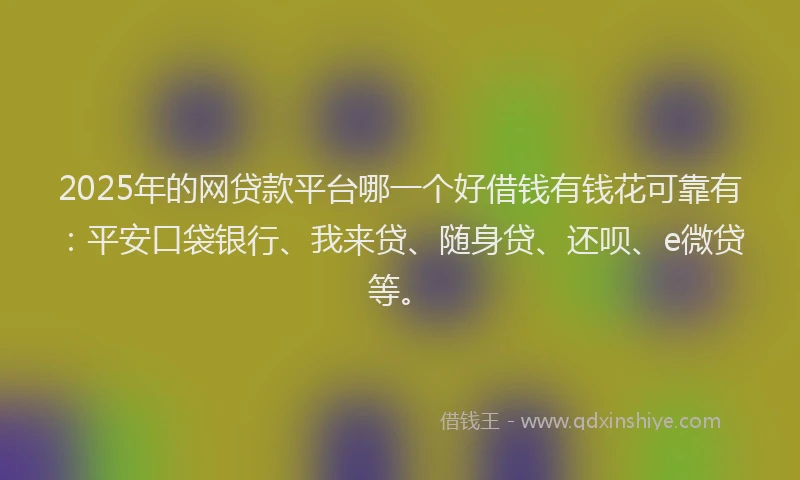 2025年的网贷款平台哪一个好借钱有钱花可靠有：平安口袋银行、我来贷、随身贷、还呗、e微贷等。
