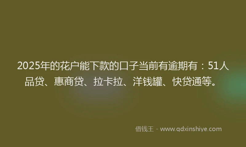 2025年的花户能下款的口子当前有逾期有：51人品贷、惠商贷、拉卡拉、洋钱罐、快贷通等。