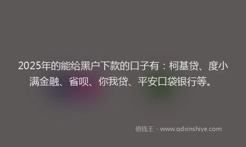 2025年的能给黑户下款的口子有：柯基贷、度小满金融、省呗、你我贷、平安口袋银行等。