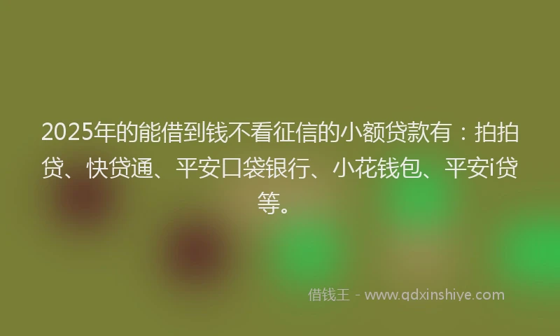 2025年的能借到钱不看征信的小额贷款有：拍拍贷、快贷通、平安口袋银行、小花钱包、平安i贷等。