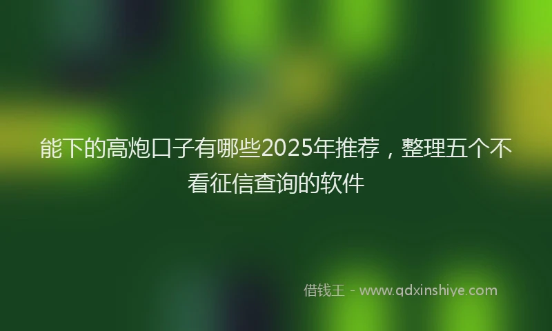 能下的高炮口子有哪些2025年推荐，整理五个不看征信查询的软件
