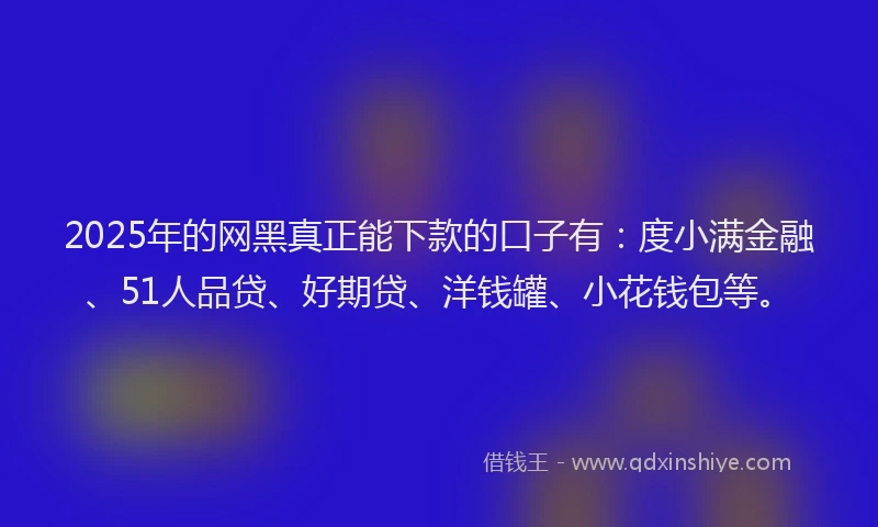 2025年的网黑真正能下款的口子有：度小满金融、51人品贷、好期贷、洋钱罐、小花钱包等。