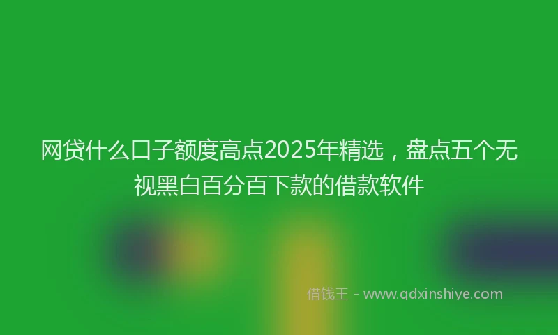 网贷什么口子额度高点2025年精选，盘点五个无视黑白百分百下款的借款软件