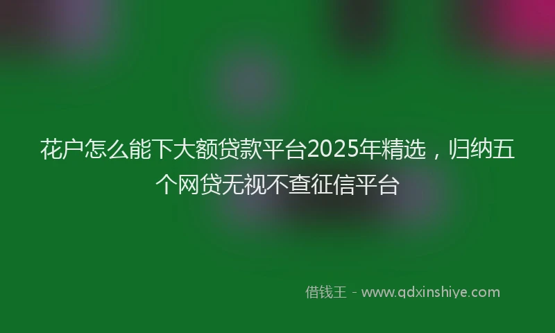花户怎么能下大额贷款平台2025年精选，归纳五个网贷无视不查征信平台