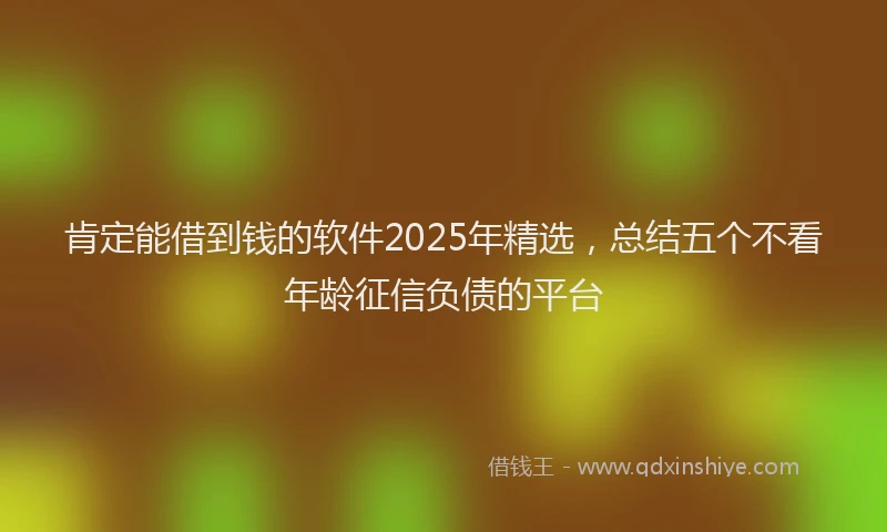肯定能借到钱的软件2025年精选，总结五个不看年龄征信负债的平台