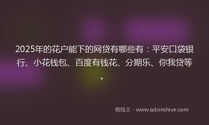 2025年的花户能下的网贷有哪些有：平安口袋银行、小花钱包、百度有钱花、分期乐、你我贷等。