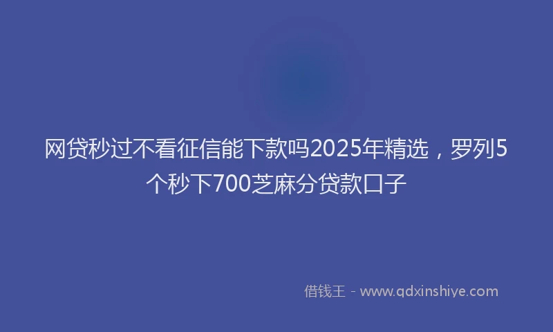 网贷秒过不看征信能下款吗2025年精选，罗列5个秒下700芝麻分贷款口子