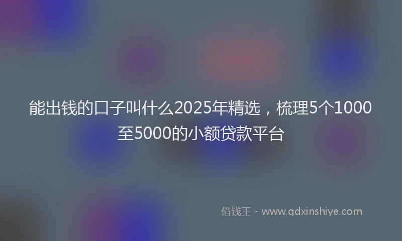 能出钱的口子叫什么2025年精选，梳理5个1000至5000的小额贷款平台