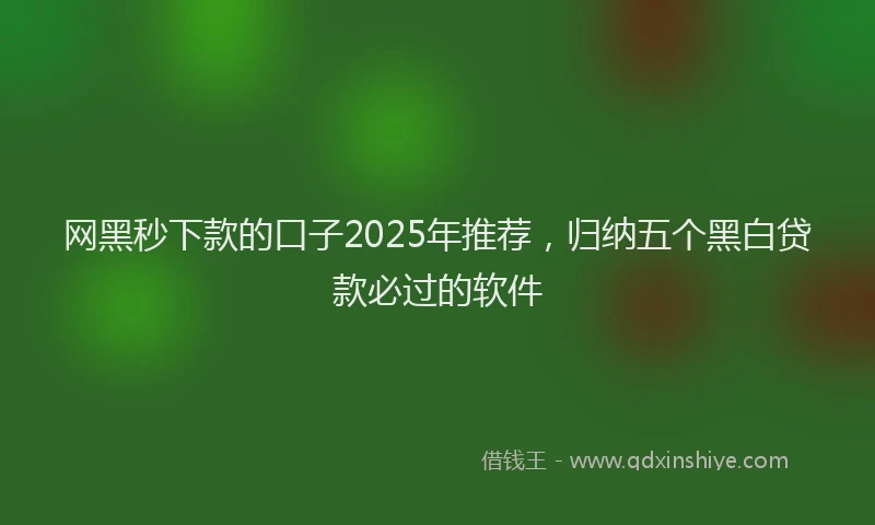 网黑秒下款的口子2025年推荐，归纳五个黑白贷款必过的软件