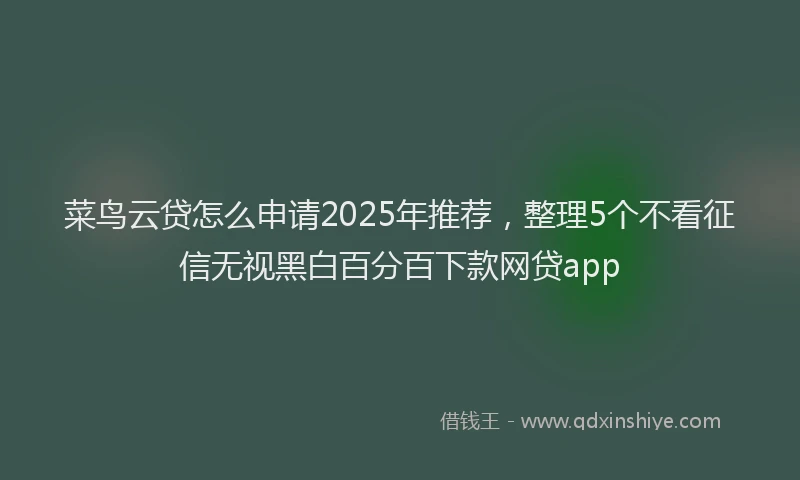 菜鸟云贷怎么申请2025年推荐，整理5个不看征信无视黑白百分百下款网贷app