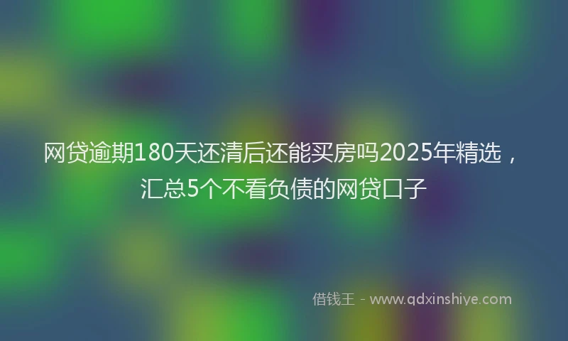 网贷逾期180天还清后还能买房吗2025年精选，汇总5个不看负债的网贷口子