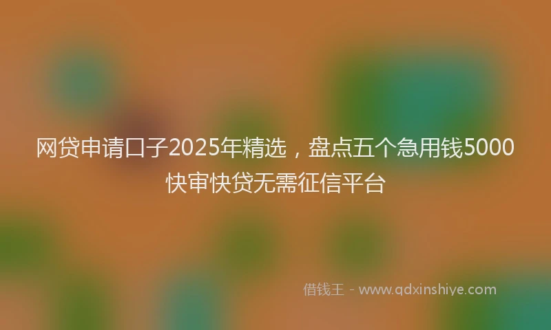 网贷申请口子2025年精选，盘点五个急用钱5000快审快贷无需征信平台