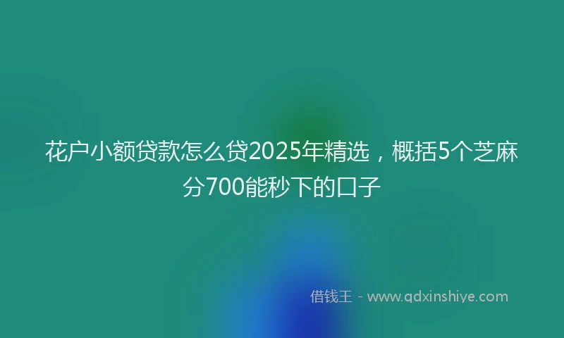 花户小额贷款怎么贷2025年精选，概括5个芝麻分700能秒下的口子