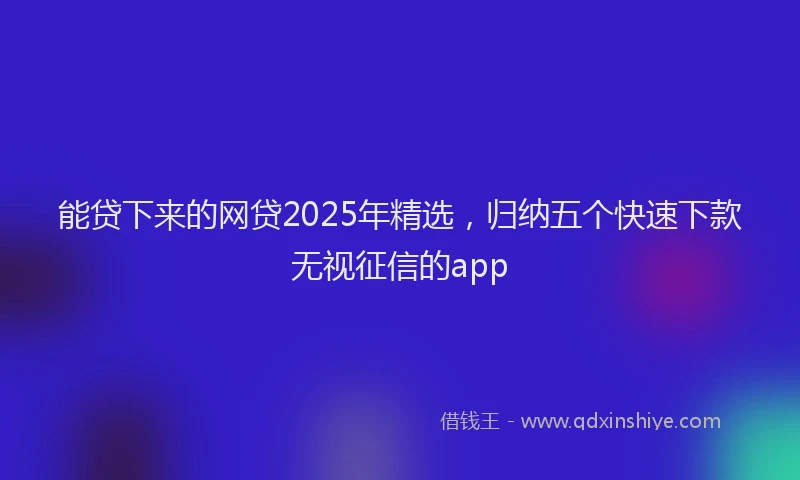 能贷下来的网贷2025年精选，归纳五个快速下款无视征信的app