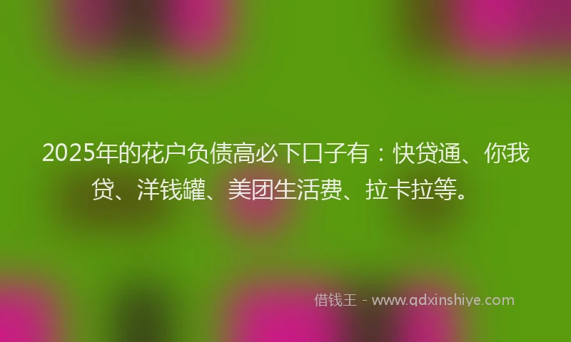 2025年的花户负债高必下口子有：快贷通、你我贷、洋钱罐、美团生活费、拉卡拉等。