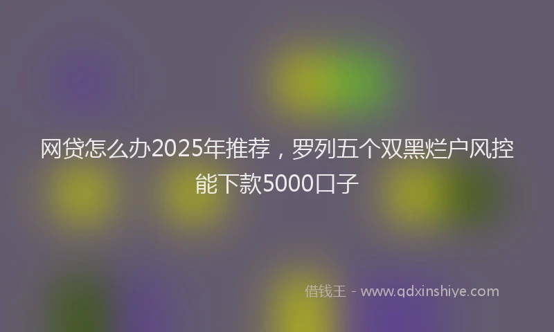 网贷怎么办2025年推荐，罗列五个双黑烂户风控能下款5000口子