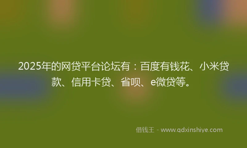 2025年的网贷平台论坛有：百度有钱花、小米贷款、信用卡贷、省呗、e微贷等。