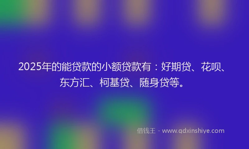 2025年的能贷款的小额贷款有：好期贷、花呗、东方汇、柯基贷、随身贷等。