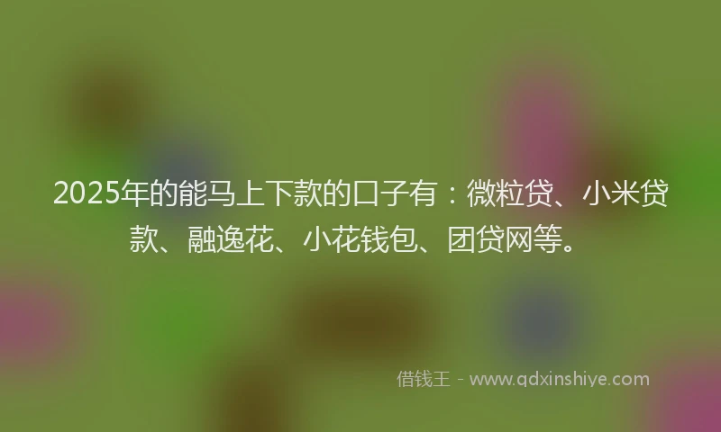 2025年的能马上下款的口子有：微粒贷、小米贷款、融逸花、小花钱包、团贷网等。