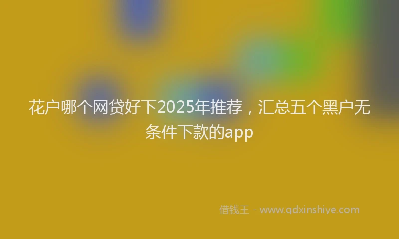 花户哪个网贷好下2025年推荐，汇总五个黑户无条件下款的app