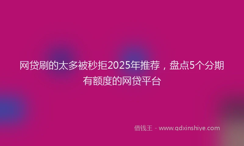 网贷刷的太多被秒拒2025年推荐，盘点5个分期有额度的网贷平台