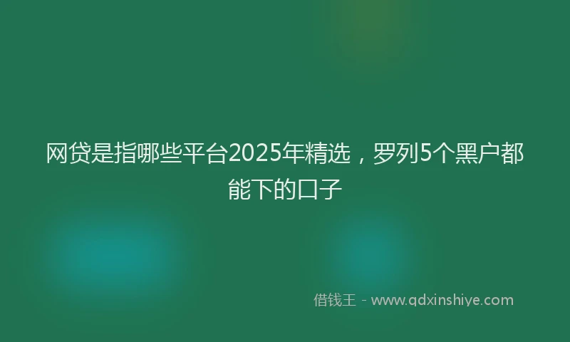 网贷是指哪些平台2025年精选，罗列5个黑户都能下的口子
