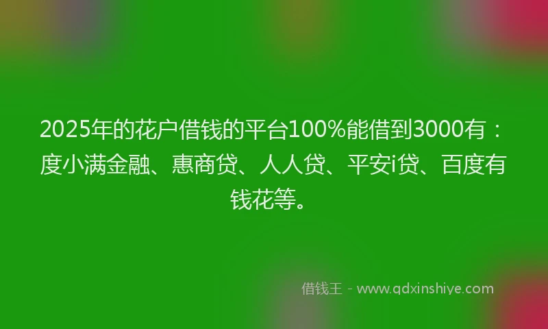 2025年的花户借钱的平台100%能借到3000有：度小满金融、惠商贷、人人贷、平安i贷、百度有钱花等。