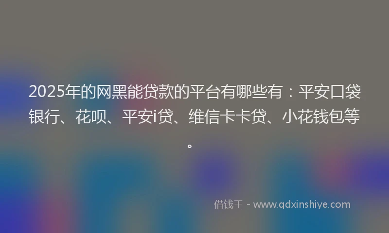 2025年的网黑能贷款的平台有哪些有：平安口袋银行、花呗、平安i贷、维信卡卡贷、小花钱包等。