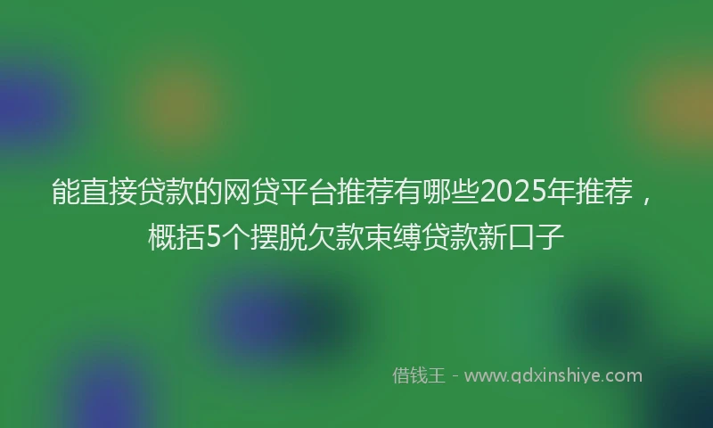 能直接贷款的网贷平台推荐有哪些2025年推荐，概括5个摆脱欠款束缚贷款新口子