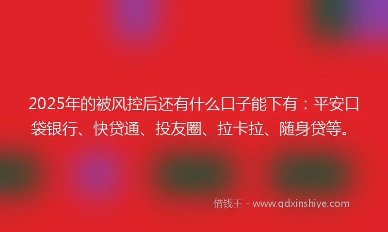 2025年的被风控后还有什么口子能下有：平安口袋银行、快贷通、投友圈、拉卡拉、随身贷等。