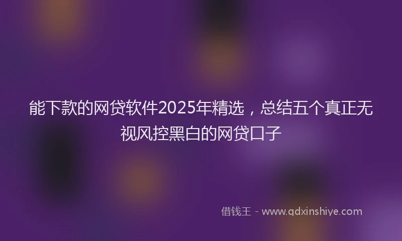 能下款的网贷软件2025年精选，总结五个真正无视风控黑白的网贷口子