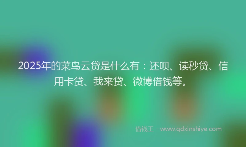 2025年的菜鸟云贷是什么有：还呗、读秒贷、信用卡贷、我来贷、微博借钱等。