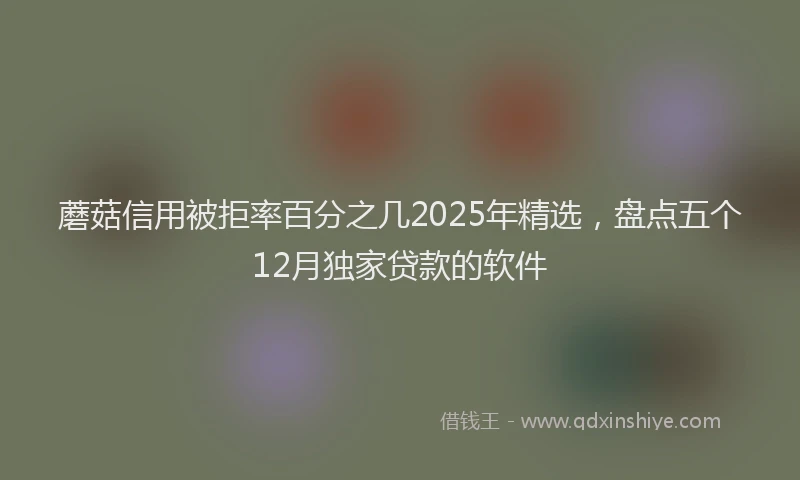 蘑菇信用被拒率百分之几2025年精选，盘点五个12月独家贷款的软件