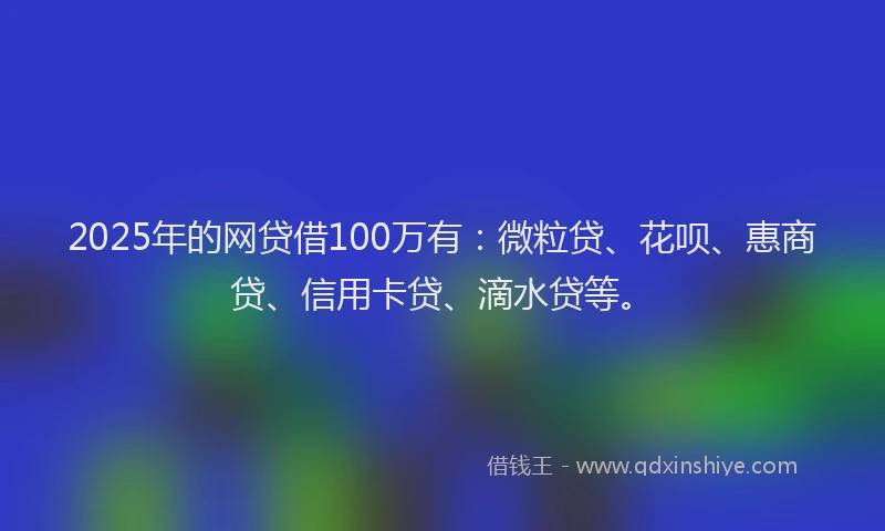 2025年的网贷借100万有：微粒贷、花呗、惠商贷、信用卡贷、滴水贷等。