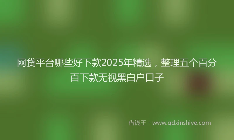 网贷平台哪些好下款2025年精选，整理五个百分百下款无视黑白户口子