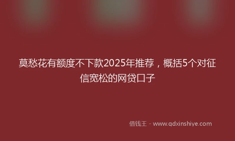 莫愁花有额度不下款2025年推荐，概括5个对征信宽松的网贷口子