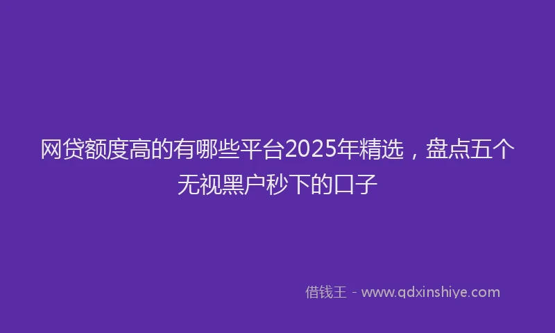 网贷额度高的有哪些平台2025年精选，盘点五个无视黑户秒下的口子