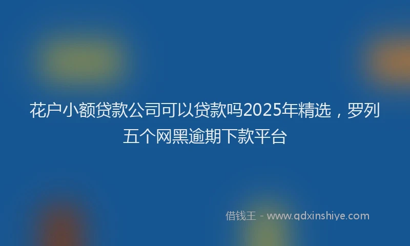 花户小额贷款公司可以贷款吗2025年精选，罗列五个网黑逾期下款平台