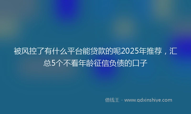 被风控了有什么平台能贷款的呢2025年推荐，汇总5个不看年龄征信负债的口子
