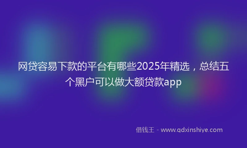 网贷容易下款的平台有哪些2025年精选，总结五个黑户可以做大额贷款app