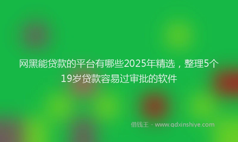 网黑能贷款的平台有哪些2025年精选，整理5个19岁贷款容易过审批的软件