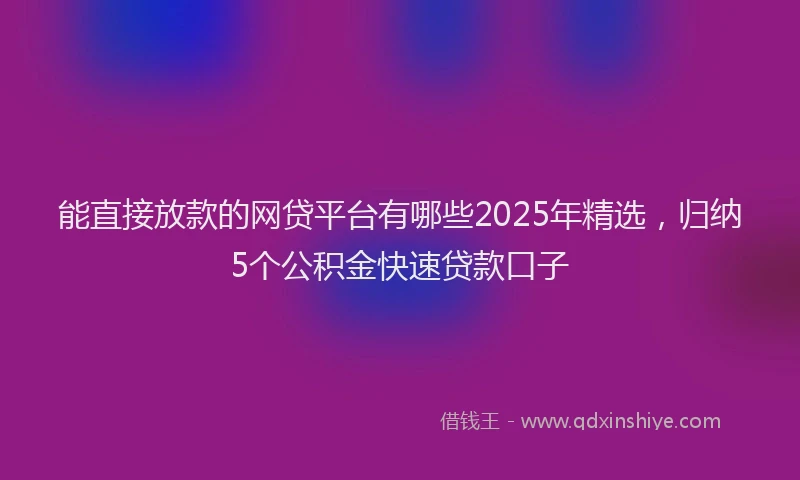能直接放款的网贷平台有哪些2025年精选，归纳5个公积金快速贷款口子