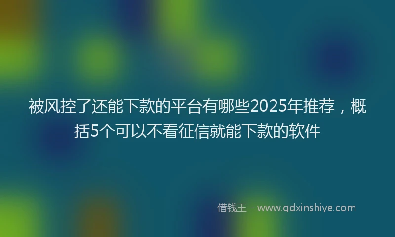 被风控了还能下款的平台有哪些2025年推荐，概括5个可以不看征信就能下款的软件