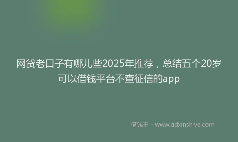 网贷老口子有哪儿些2025年推荐，总结五个20岁可以借钱平台不查征信的app