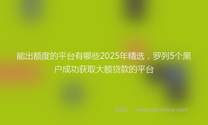 能出额度的平台有哪些2025年精选，罗列5个黑户成功获取大额贷款的平台