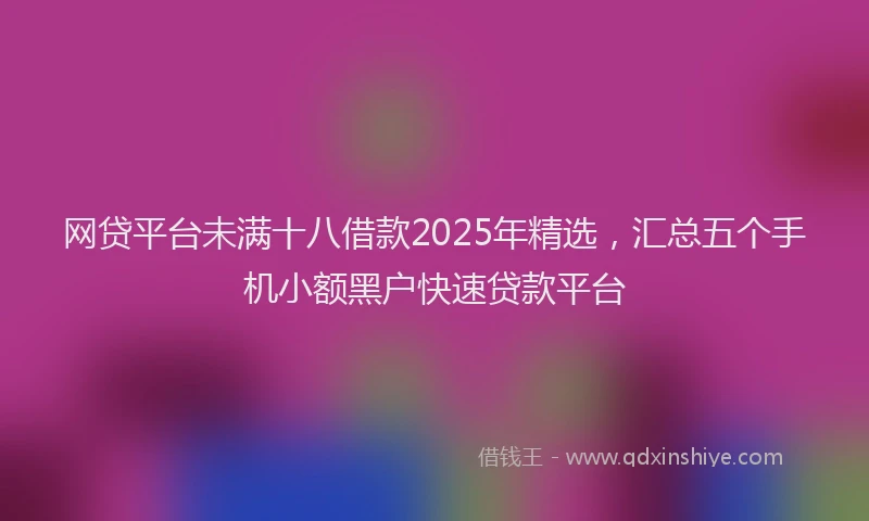 网贷平台未满十八借款2025年精选，汇总五个手机小额黑户快速贷款平台